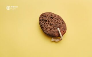 Topuk Taşının Yararları