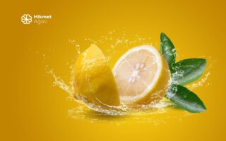 Limonun Çekirdeği Dahi Faydalı