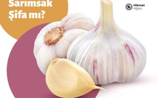 Sarımsak Herkes için Şifa Olmayabilir