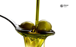 Zeytin Sağlıktır Berekettir