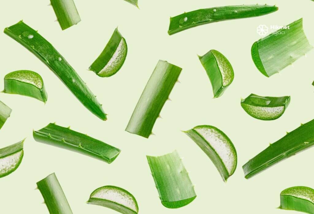 Güneş Koruyucunuz: Aloe Vera Jeli