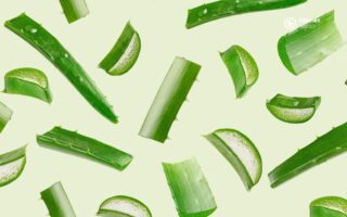 Güneş Koruyucunuz: Aloe Vera Jeli