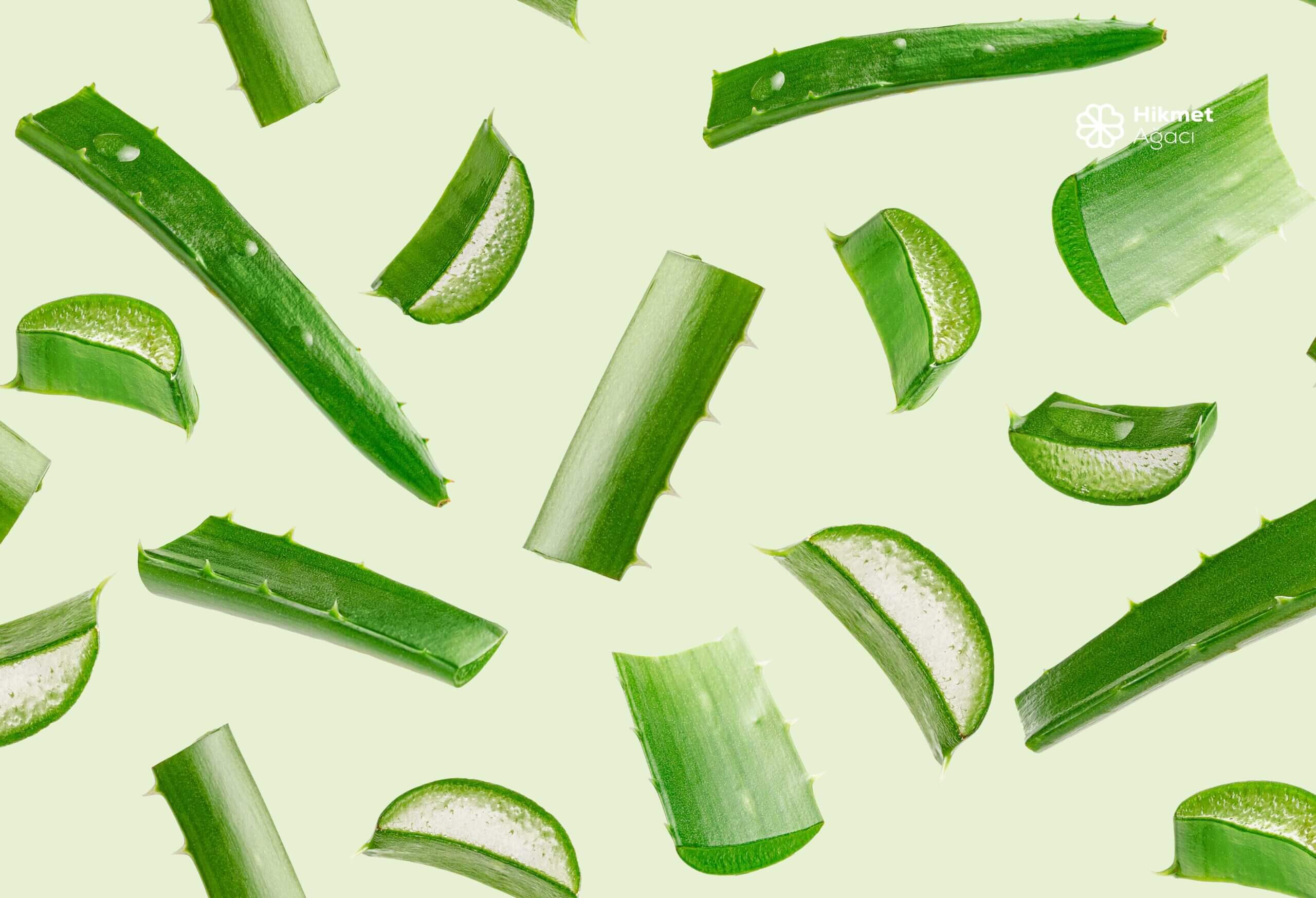 Güneş Koruyucunuz: Aloe Vera Jeli