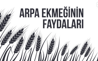 Arpa Ekmeğinin Faydaları