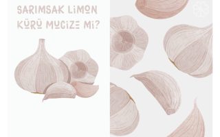Sarımsak Limon Kürü Mucize mi?